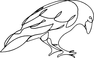 Le corbeau - Image de Bianca Van Dijk