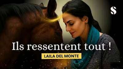 Vidéo Laïla Del Monté