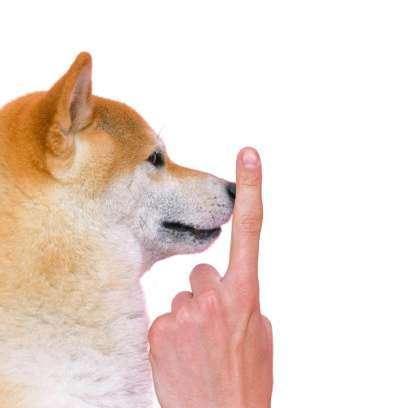 Le chien et le doigt